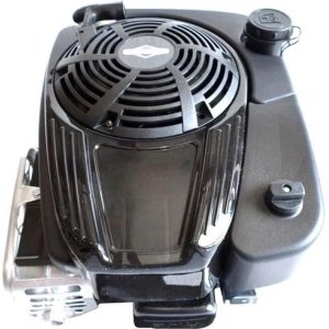 Briggs Stratton 121S02 0130 F2 Vertical Engine