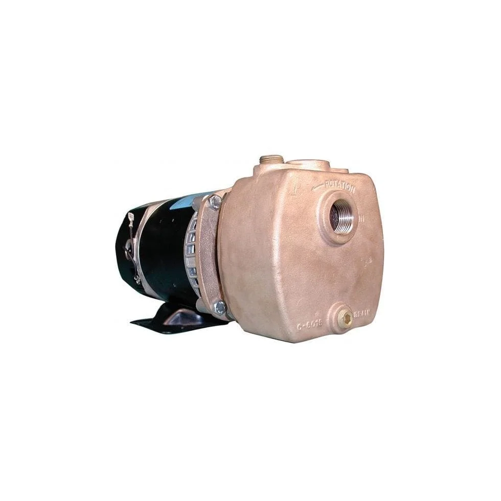 Oberdorfer 300B-F21 Self-Priming Centrifugal Pump