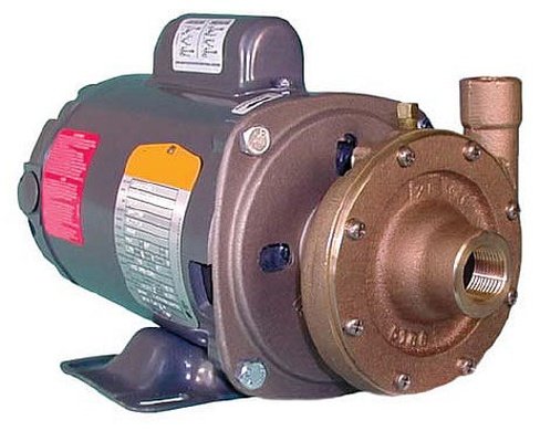 Oberdorfer 600-F13 Centrifugal Pump