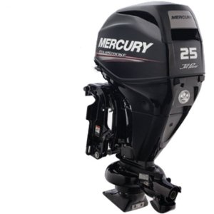Mercury 25HP 25ELPT - Power Trim Remote 20in